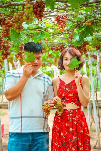 TOUR 3 NGÀY 2 ĐÊM - KHÁM PHÁ TP BIỂN NHA TRANG ( Giảm Ngay 20% , Hành Trình Hấp Dẫn Khám Phá Vinpearl Nha Trang -  Hang Rái Vườn Nho )