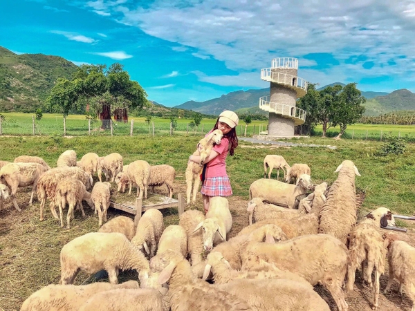 TOUR 3 NGÀY 2 ĐÊM - KHÁM PHÁ TP BIỂN NHA TRANG ( Giảm Ngay 20% , Hành Trình Hấp Dẫn Khám Phá Vinpearl Nha Trang -  Hang Rái Vườn Nho )