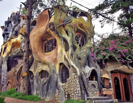 TOUR 4 - TOUR CHINH PHỤC ĐỈNH LANGBIANG  THÁC DATANLA  CRAZY HOUSE