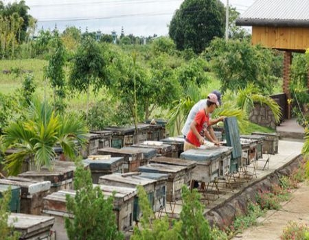 TOUR 5 - TOUR KHÁM PHÁ NGOẠI THÀNH ĐÀ LẠT.