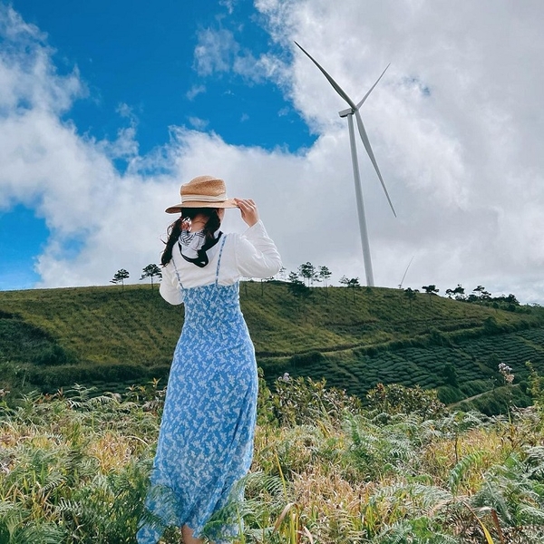 TOUR 1  - TOUR SĂN MÂY ĐÓN BÌNH MINH ĐÀ LẠT