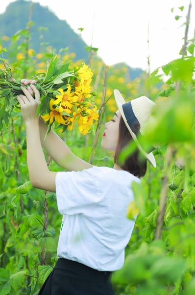 TOUR 7: THAM QUAN ĐỒI CỎ TUYẾT, CỎ HỒNG, DÃ QUỲ ĐÀ LẠT 2023
