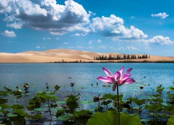NHA TRANG - MŨI NÉ ( Tour Tham Quan Trong Ngày )