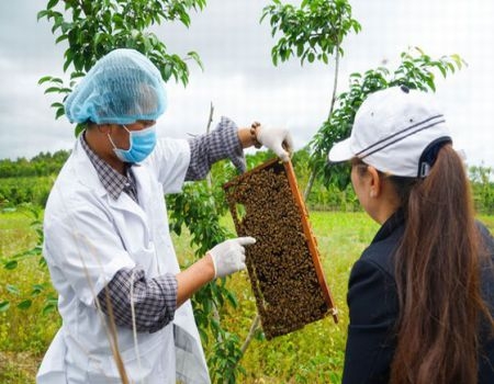 TOUR 5 - TOUR KHÁM PHÁ NGOẠI THÀNH ĐÀ LẠT.