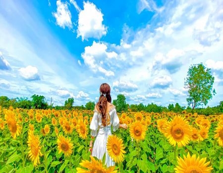 TOUR 5 - TOUR KHÁM PHÁ NGOẠI THÀNH ĐÀ LẠT.