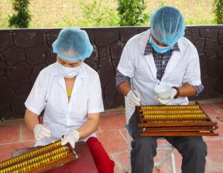 TOUR 5 - TOUR KHÁM PHÁ NGOẠI THÀNH ĐÀ LẠT.