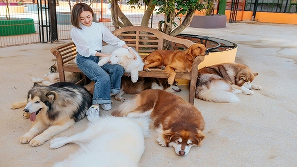 TOUR 4 - TOUR THAM QUAN SỞ THÚ ZOODOO ĐÀ LẠT.