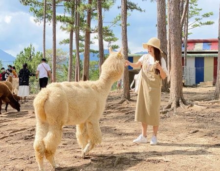 TOUR 4 - TOUR THAM QUAN SỞ THÚ ZOODOO ĐÀ LẠT.