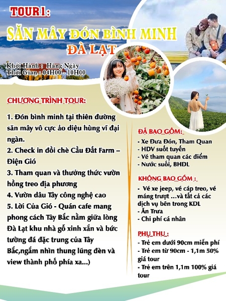 TOUR 1  - TOUR SĂN MÂY ĐÓN BÌNH MINH ĐÀ LẠT