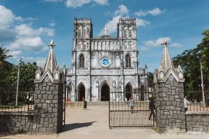 TOUR THAM QUAN NHA TRANG - PHÚ YÊN XỨ HOA VÀNG TRÊN CỎ XANH