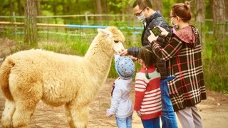 TOUR 4 - TOUR THAM QUAN SỞ THÚ ZOODOO ĐÀ LẠT.