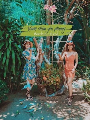 TOUR  ĐẢO KHỈ - SUỐI HOA LAN KHÁM PHÁ VỊNH NHA PHU