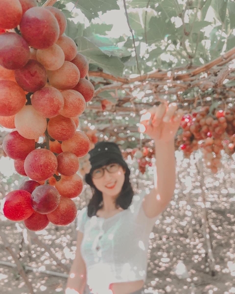 TOUR 3 NGÀY 2 ĐÊM - KHÁM PHÁ TP BIỂN NHA TRANG ( Giảm Ngay 20% , Hành Trình Hấp Dẫn Khám Phá Hang Rái Vườn Nho - Vịnh Nha Trang)