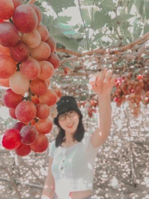 TOUR HANG RÁI VĨNH HY – THIÊN ĐƯỜNG SỐNG ẢO ( Giảm Ngay 15% )