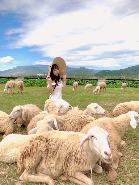 TOUR KHÁM PHÁ TP BIỂN NHA TRANG 2 NGÀY 1 ĐÊM ( Ưu đãi giảm ngay 15%...)