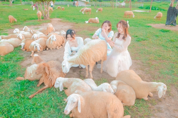 TOUR 3 NGÀY 2 ĐÊM - KHÁM PHÁ TP BIỂN NHA TRANG ( Giảm Ngay 20% , Hành Trình Hấp Dẫn Khám Phá Hang Rái Vườn Nho - Vịnh Nha Trang)