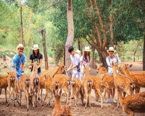 TOUR  ĐẢO KHỈ - SUỐI HOA LAN KHÁM PHÁ VỊNH NHA PHU