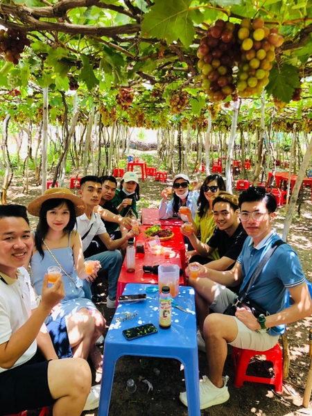 TOUR 3 NGÀY 2 ĐÊM - KHÁM PHÁ TP BIỂN NHA TRANG ( Giảm Ngay 20% , Hành Trình Hấp Dẫn Khám Phá Hang Rái Vườn Nho - Vịnh Nha Trang)