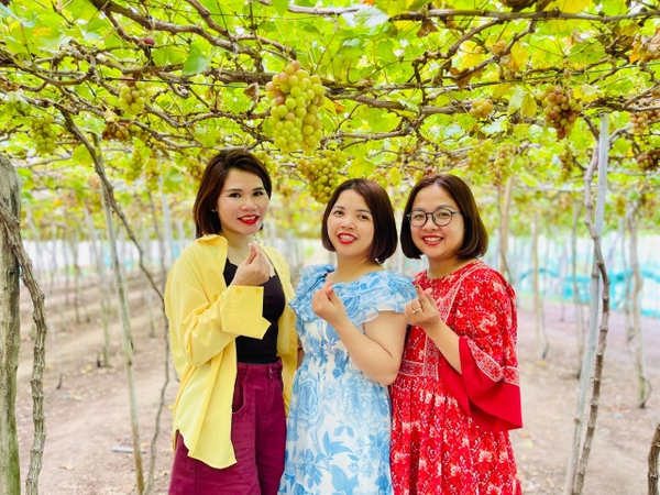 TOUR HANG RÁI VĨNH HY – THIÊN ĐƯỜNG SỐNG ẢO ( Giảm Ngay 15% )