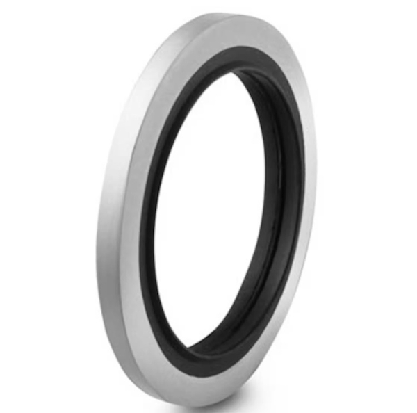 Đệm SS-2RS-2V - Swagelok