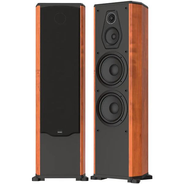 Loa karaoke Paramax Platinum FX-1500