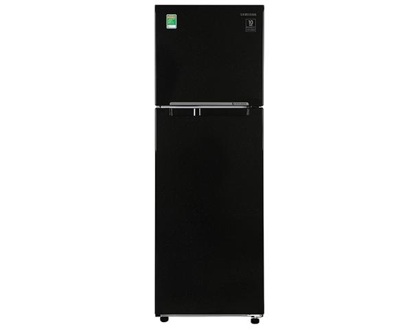 Tủ lạnh Samsung Inverter 256 lít RT25M4032BU/SV