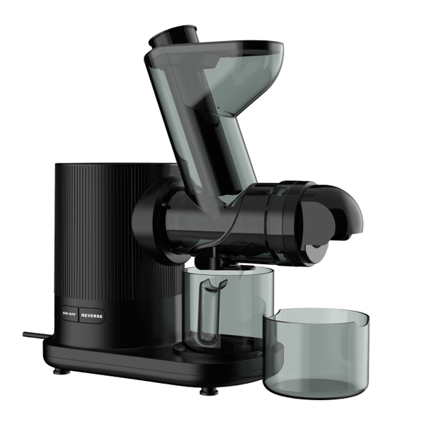 Máy ép chậm trục ngang RiriHong SD90A