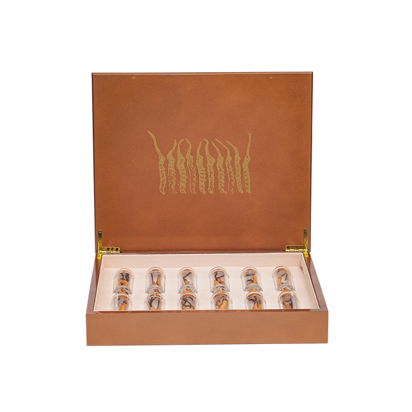 Tibetan Cordyceps sinensis – VIP - 10g (size 28)