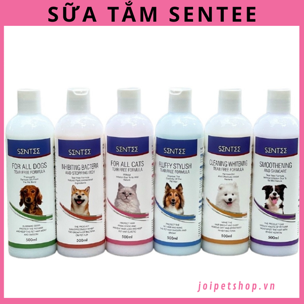 sua-tam-sentee