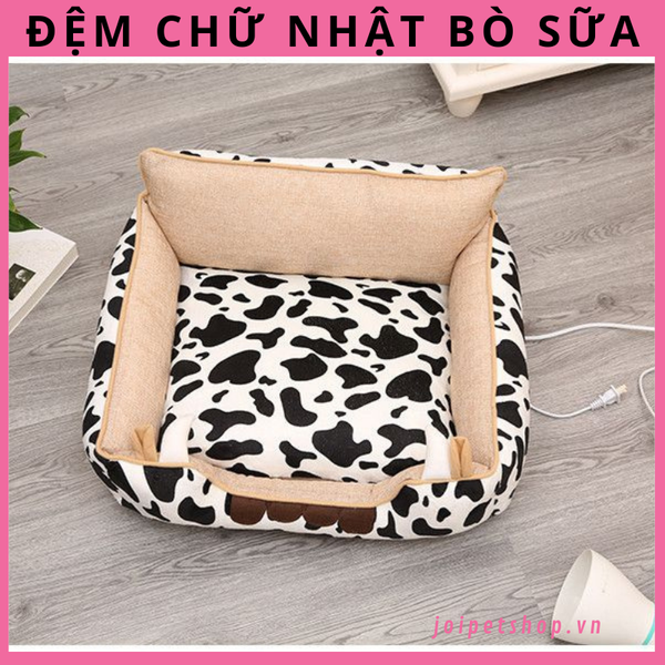 dem-cao-cap-chu-nhat-ho-a-tie-t-dem-cho-cho-meo-thu-cung-o-cho-cho-meo
