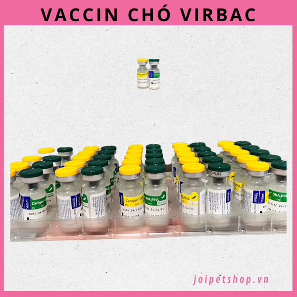 vaccine-cho-cho-virbac-canigen-dha2ppi-l-phong-ngua-6-benh-tren-cun-cung