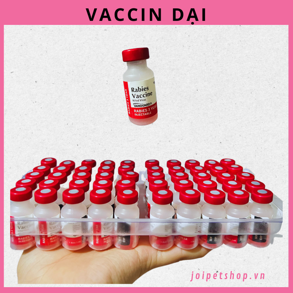 vaccine-dai-vanguard-rabies-3y-cho-cho-meo-vaccin-dai