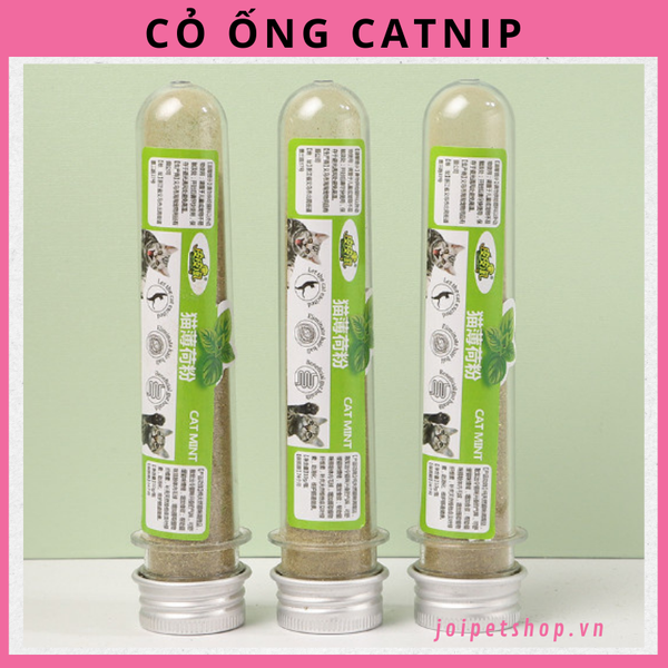 co-ong-catnip-cho-meo