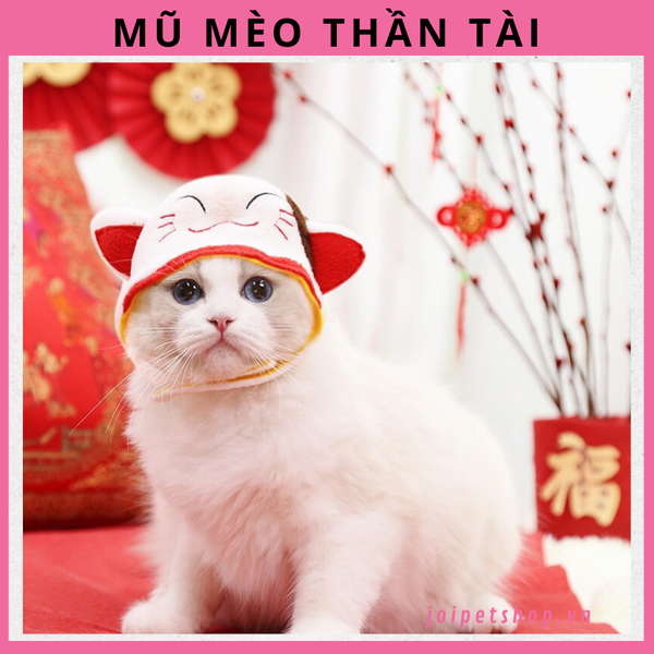mu-trum-dau-hinh-con-meo-cho-cho-meo