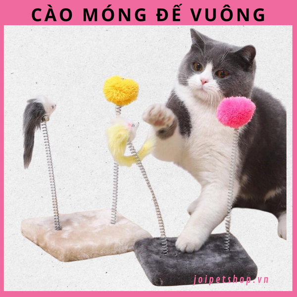 cao-mong-gan-lo-xo-de-vuong