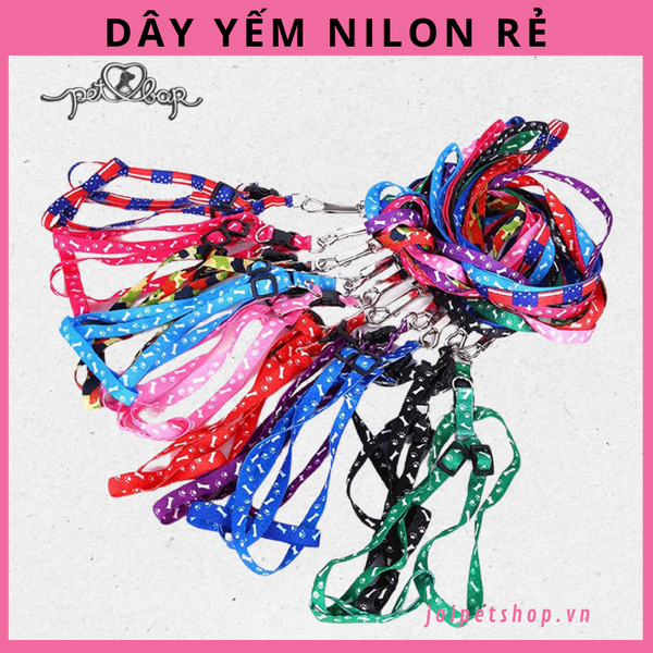 day-dat-dai-yem-cho-cho-meo-duoi-5kg-loai-mong-re-nhieu-mau