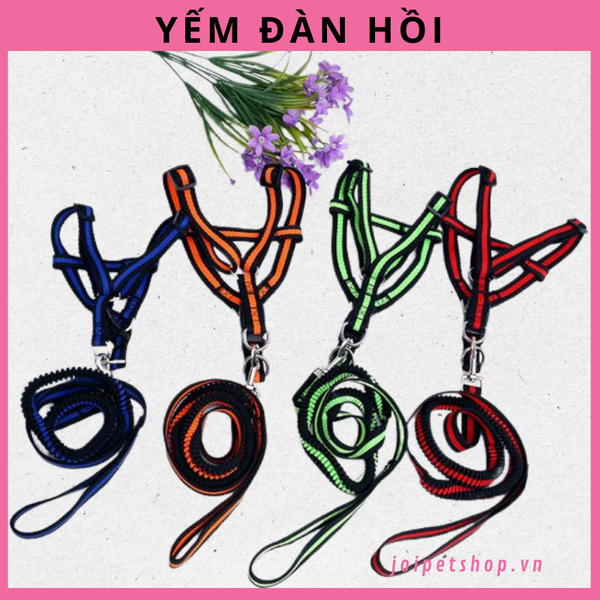 day-yem-dan-hoi-danh-cho-cho-meo