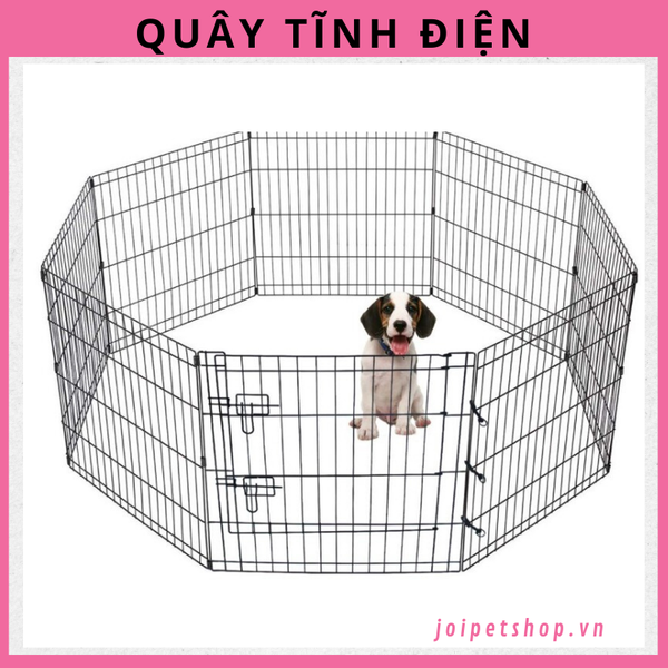 quay-tinh-dien-danh-cho-cho-meo