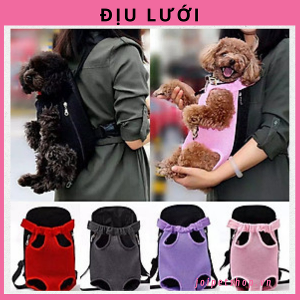 diu-luoi-cho-cho-meo