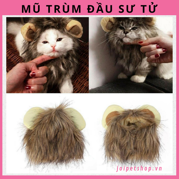 mu-trum-dau-hinh-su-tu-cho-cho-meo