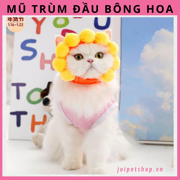 mu-trum-dau-hinh-bong-hoa-vang