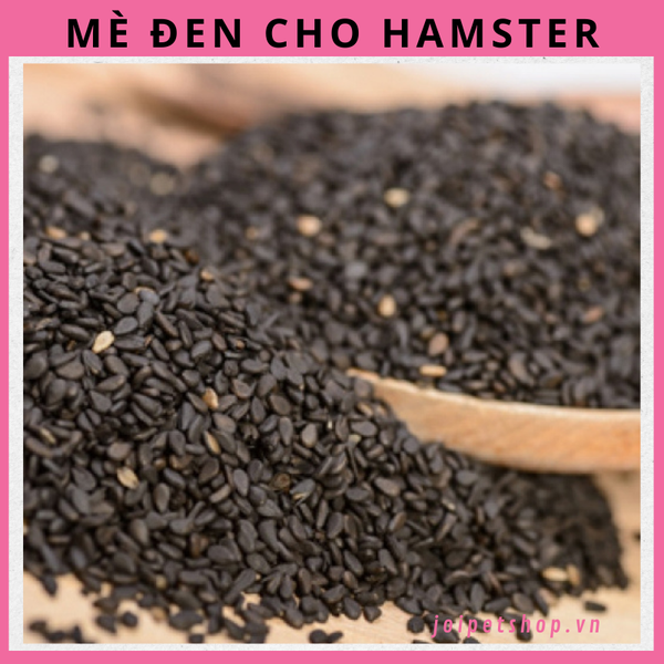 me-den-cho-hamster