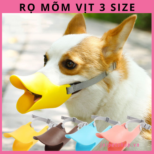 ro-mom-vit-cho-cho-du-size