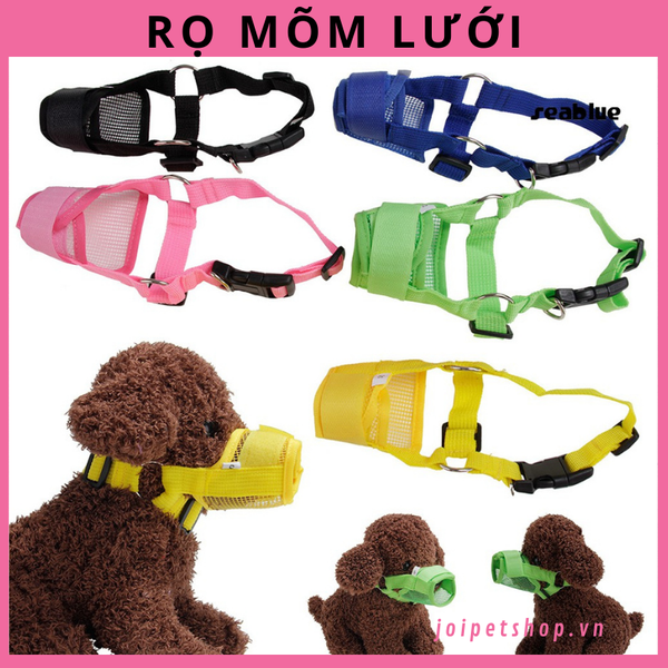 het-hang-ro-mom-luoi-cho-cho