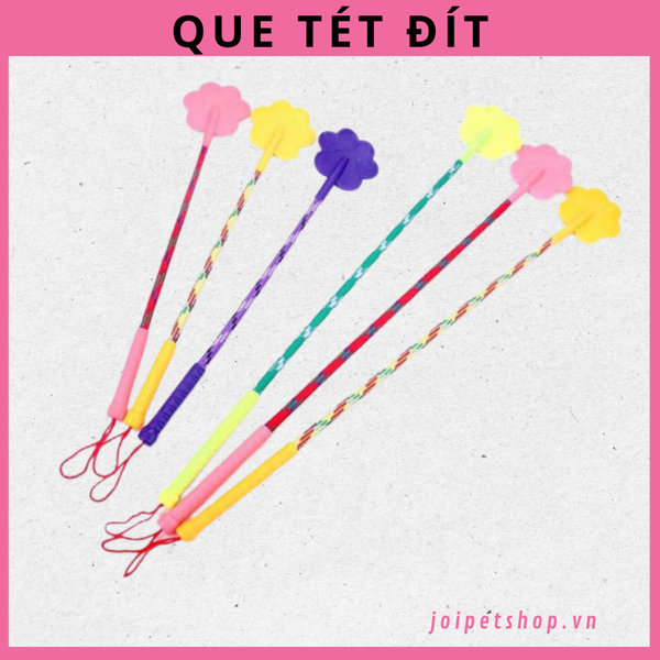 que-tet-dit-cho-cho-meo