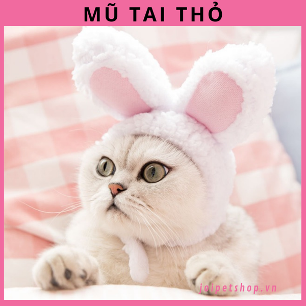 mu-doi-dau-tai-tho-sieu-cute-danh-cho-cho