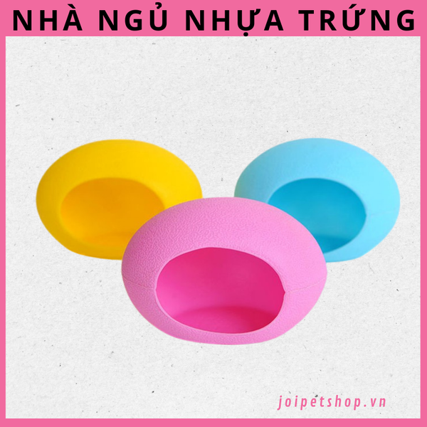 nha-ngu-trung-hamster