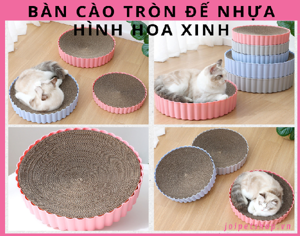ban-cao-tron-caton-de-hinh-hoa