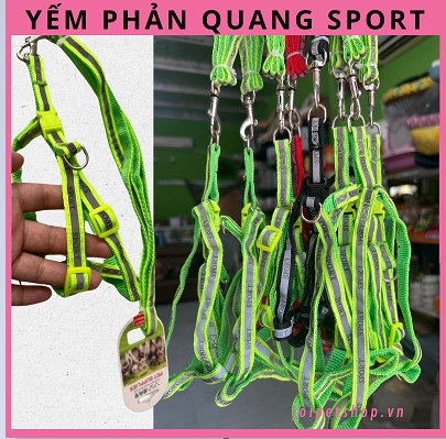 day-yem-sport-danh-cho-cho-meo-freesize-5kg