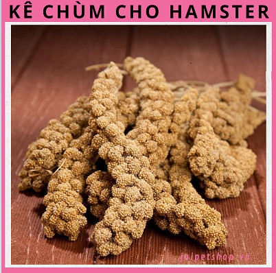 ke-chum-cho-hamster-1-goi-3-soi